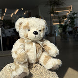 Spotted Teddybear [4EA]