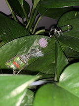 Pond Keyring