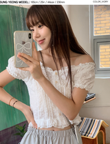 #Flower Embroidery Crop Short Sleeve Blouse (2color)