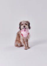 Naming merry ribbon bandana (Pink)