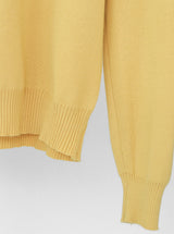 Classic Color Matching Collar Knit