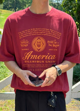 [A-T0128] ヴィンテージアメリカ半袖Tシャツ (4色)