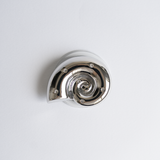 Ammonite Tok MagSafe_ Chrome