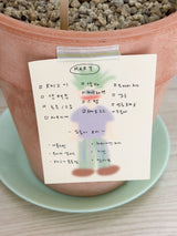 PLANT LINE MEMO PAD SET