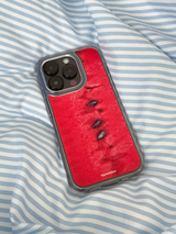 watermelon jelly hard case