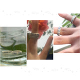 [ZINDA STUDIO] Truth-Ring 2