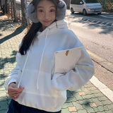 Winter R hood - hood