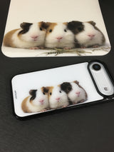 ギニアピッグ ケース