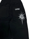 シックカーペンターコットンワイドパンツ2C
