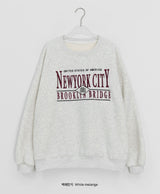 Giddels Brushed Embroidered Over Sweatshirt
