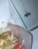 Pocket Pony Necklace