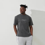 Silver door Pigment T-shirt (Gray)