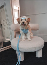 Holiday in paris X type harness (Sky blue)