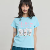 マルチーズアーカイブ半袖Tシャツ