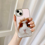 [MADE] lovely guinea case
