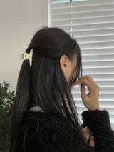Modern hair clip (5color)