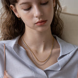 [Set] Gold and silver 2 chain necklace