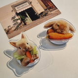 Carrot Rabbit magsafe smart tok