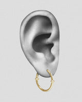 Qria Hoop Earrings Set