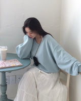 [MADE/6color] Pony, V-neck loose fit trainer