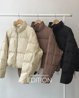 【MADE】Duck down padded jumper