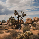 [Scarf] Joshua Tree - Black