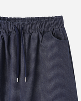 Vieri Stripe Denim Pants