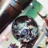Fishbowl Dome Paperweight