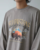 BUFFALO DYING TEE
