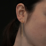 planege pierce