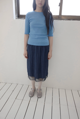 カラ―セクションT (5c)