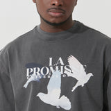Promise Pigmented T-shirt (Gray)
