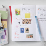 Plot mostly diary