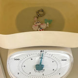 キティインザボックス