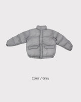 LMN Maison Platinum Oversized Cropped Padded (3 colors)