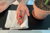 Mushroom keyring