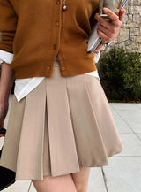 Wanted Pleated Mini Skirt