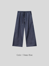 No.1064 B stripe carpenter denim PT