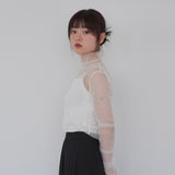シアーメッシュタートルネック