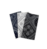 Star paisley scarf