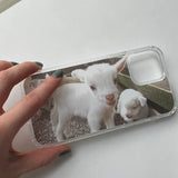 [little baby lamb jelly hard case]