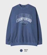 Taper Daily California Heavy Pigment Overfit Sweatshirt