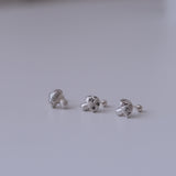 Planet mushroom piercing