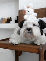 Cosymosy Poodle Keyring - 5 Color