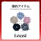 2025 冬の福袋 (Loasi)