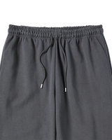 25FW AC BEAR STATUE OF LIBERTY ZURRY PANTS CHARCOAL