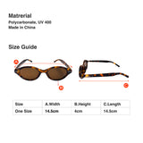 Noir Sunglasses Leopard