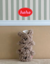 zizi Tissue Case