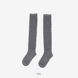 シエンシースルーロングソックス