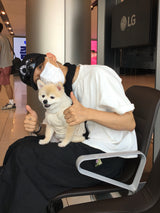 Overcropped Basic Short Sleeve T-Shirt 3C